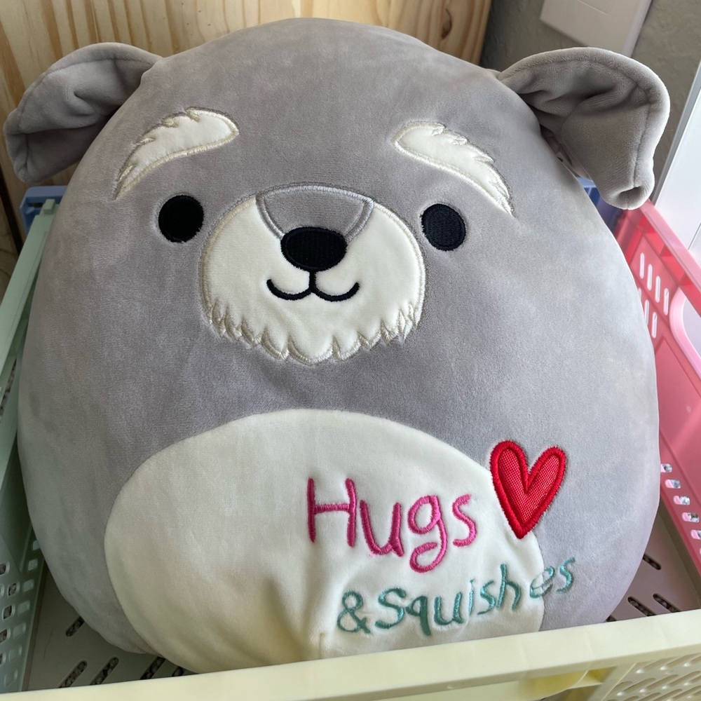Shaun Schnauzer Squishmallow Valentine 12”